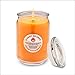 Angry Orange Odor Eliminating Soy Candle from Eliminates Odors Leaving a Clean Citrus Scent for Smokers and Pet Owners - All Natural Soy Odor Eliminator Candle is Made in USA - 18oz