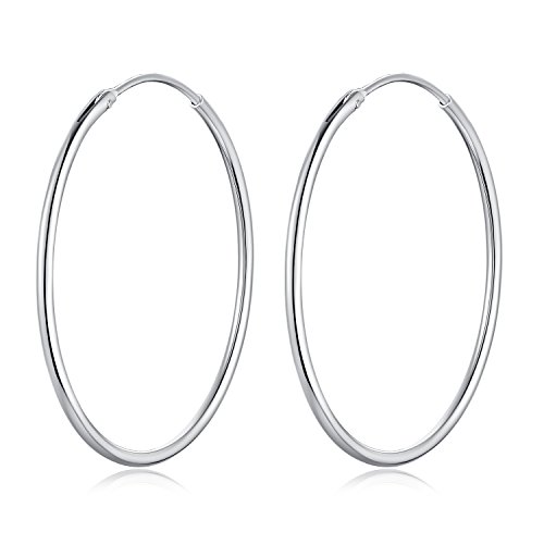 925 Sterling Silver Circle Endless Hoop Earrings,Hypoallergenic Rounded Hoops Earrings for Women Girls 10mm to 60mm (20mm)