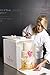Innovative Sugarworks Small Cake Porter with Insulated Cover and Cake Carrier, 14