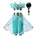 Pettigirl Girls Teal & Gold Princess Dress Up Costume 2Piece Pants Outfit (4 Years, Arabian Costume+Wig)