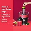 Nutribullet 01515 Centrifugal Juicer, 800 W, Graphite