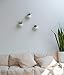 Mkono 4 Inch Wall Mounted Planter Round Ceramic Hanging Plant Holder Decorative Flower Display Vase Succulent Pots for Indoor Plants, Set of 3, White (Plants NOT Included)thumb 2
