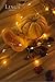 Ling's moment 3 Sets 6ft LED Fairy Starry String Lights Battery Powered Mini Led Lights Warm White for Waterproof Decorative Lights Kids Teepee Decorations Christmas Lights
