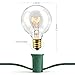 Globe String Light with G40 Clear Bulbs - UL Listed, Outdoor, Indoor, 25 foot, Green Wire