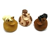 Horse Rubber Duckys (1-Pack of 12)