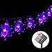 Hsctek Solar String Light,Halloween Indoor/Outdoor Decorative Lights for Room, Patio, Garden, Gate, Yard, Parties(20ft,30 LED)(Purple,Weird Spider)