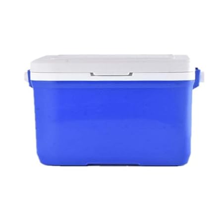 AUMING Nevera termoeléctrica portátil Aviación/para Llevar/Vacuna ...