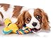 Hartz Tuff Stuff Dog Toy Nose Divers