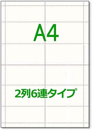 かみらんど チケット 回数券用 新作 金券 食券 カット紙白紙 ミシン入 50枚 2列6連タイプ Dm便限定送料込