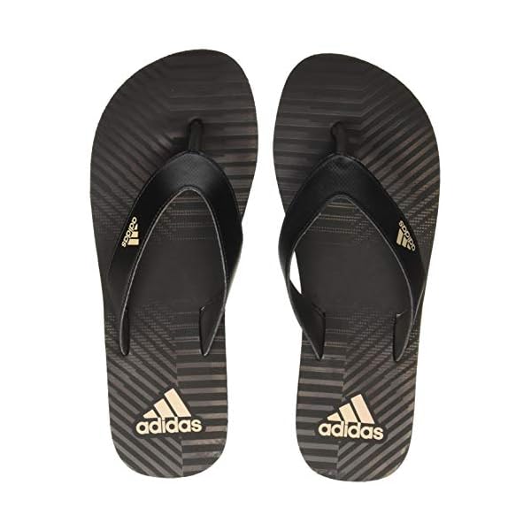 ms slippers mens