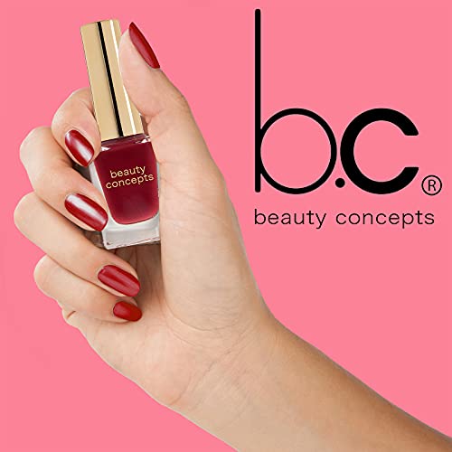 Beauty Concepts Nail Polish Collection 6 Piece Nail Polish Holiday