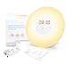 Wake Up Light, Alarm Clock Sunrise Simulation & Sleep Aid Feature, Bedside Night Light with FM Radio, 6 Nature Sounds, Touch Control and Snooze for Kids Adults Bedrooms(6638-Sunrise Alarm Clock)