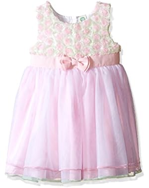 Toddler Baby Girls' Ombre Rose Mesh Dress