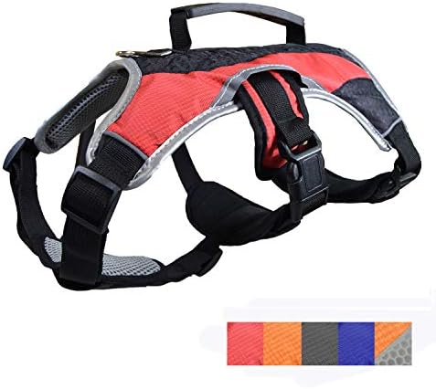 Canine Strolling Lifting Carry Harness, Assist Mesh Padded Vest, Accent, Collar, Light-weight, No Extra Pulling, Tugging or Choking, for Puppies, Small Canines (Sizes: X-Small, Small, Medium & Massive)