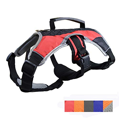 Dog Walking Lifting Carry Harness, Support Mesh Padded Vest, Accessory, Collar, Lightweight, No More Pulling, Tugging or Choking, for Puppies, Small Dogs (Red, X-Small), by Downtown Pet Supply โ image 1