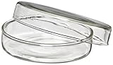 American Educational Flint Glass Culture Petri Dish, 82mm OD, 15mm Height (Bundle of 5)