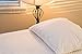 100% Waterproof Pillow Protectors with Zipper King Size Pack of 2 - Bed Bug & Dust Mite Proof Pillow Covers - Breathable, Comfortable, Stain-Resistant Pillow Covers King Size, 20 x 36 Inches