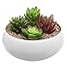 MyGift Modern Round White Ceramic Succulent Plant Flower Planter Pot/Decorative Centerpiece Display Bowl with Drainage Hole