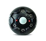 AMERICAN HUNTER Hog Light Swine Shine