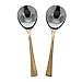 Serving Spoons Set Of 2 Indian Dinnerware Serveware