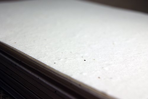 White Seed Paper Heavy weight (80lb.) 8.5" x 11" pack of 30 handmade Card stock cotton fiber