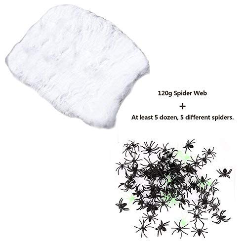 Almatess Halloween Decorations 60 Pcs 5 Different Spiders with 120g Halloween Spider Web Spider Cobweb for Halloween Decoration