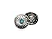 CRAFTMEMORE 2pcs 3/4 Inch Flower Coin Conchos Turquoise Dot Silver Plated Metal Decorative Navajo Screw Back Button CHS01