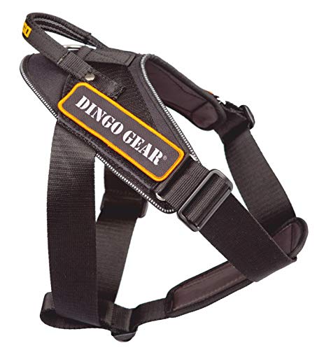 DINGO GEAR Working Dogs Harness Strong Handle Extreme Durable Ligthweight Polyamide Black M