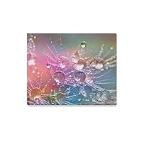 WIEDLKL Wall Art Painting Drop of Water Beaded Raindrop Drip Wallpaper Prints On Canvas The Picture Landscape Pictures Oil for Home Modern Decoration Print Decor for Living Room