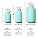 bkr BPA-Free Silicone Sleeve Glass Water Bottle - Holiday - Sheer Vacation Blue, 16 Ounce(Pack of 1)