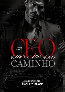 Livro Um CEO em Meu Caminho