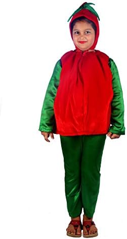 Shree Balaji Dress Big Boys' Tomato Vegetable Fancy Dress Cosplay Costume