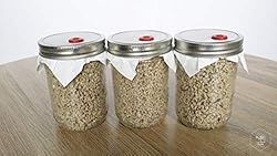 BRF PF Tek Brown Rice Flour Mushroom Substrate