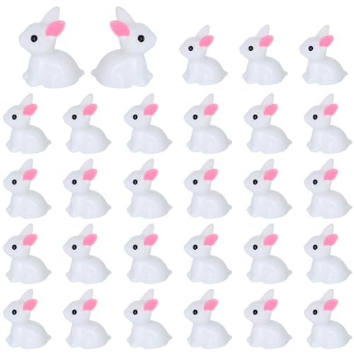 White Rabbit-60pcs