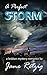 A Perfect Storm: A Lesbian Mystery Romance (The Wrong Woman Quartet Book 4) by Jane Retzig