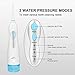 NPET 220ml Cordless Water Flosser Professional Dental Oral Irrigator, Portable and Rechargeable IPX7 Waterproof 3 Modes Water Flossing Teeth Cleaner with 4 Jet Tips for Home & Travel Use