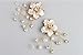 Ruihfas 1 Pair Bridal Wedding Shoe Clips Rhinestone Crystal Beads Flower Shoe Buckles Shoe Trimmings for Women