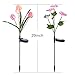 Doingart Outdoor Solar Garden Lights - 2 Pack Solar Powered Lights, Multi-Color Changing LED Solar Stake Lights for Garden, Patio, Backyard (Tulip and Morning Glory Flower)