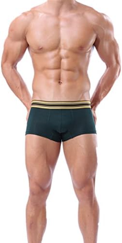 CAESER ARCHY Men's One Pack Boxer Briefs Modal Trunks