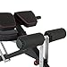 IRONMAN Triathlon Commercial Multi-Workout Abdominal/Hyper Back Extension Bench