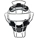 CHAMPRO Lightweight Dri-Gear Adult Baseball/Softball Umpire Mask