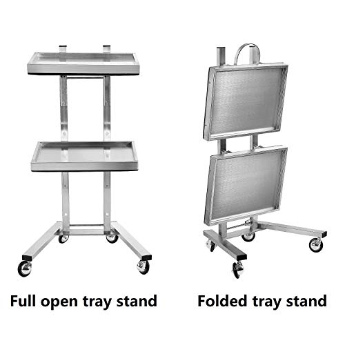 Kaleurrier Rolling Tool Trolley Cart with Double Storage Tray,Stainless Steel Utility Instrument Tray Stand with Wheels for Beauty Hair Salon Tattoo Spa Clinic Medical Studio Home (Color:Silver)