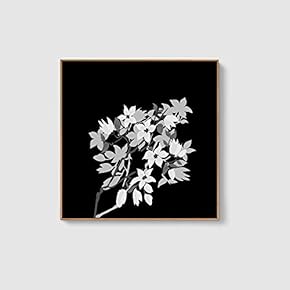 Framed Canvas Home Artwork Decoration Beautiful Flower Canvas Wall Art for Living Room, Bedroom - 16x16 inches