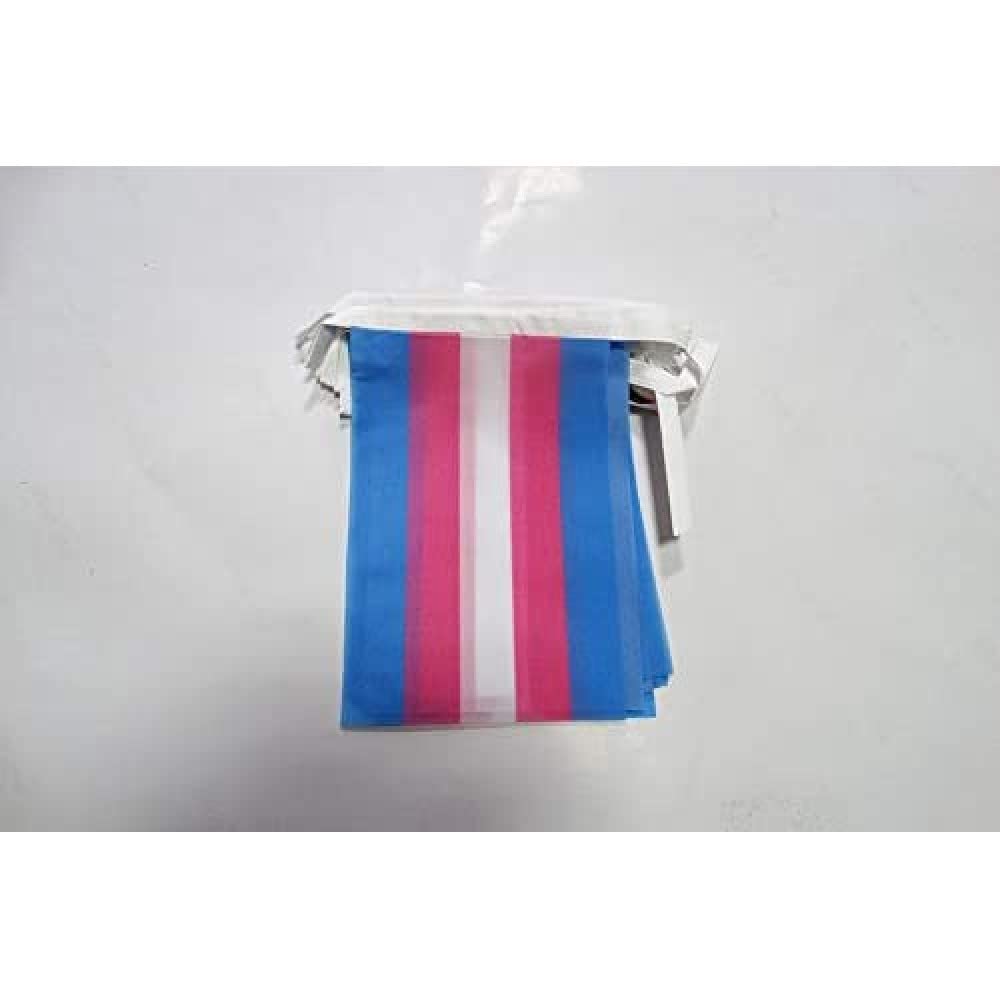 AZ FLAG Transgender Bunting Flag, 20 Ft Garland with 20 Small Rainbow Flags 8'' x 6'', 100% Polyester String Pennant, 6 meters