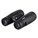 Wingspan Optics Skyview Ultra HD - 8X42 Binoculars for Bird Watching for Adults with ED Glass. Waterproof, Wide Field of View, Close Focus. Experience Better and Brighter Bird Watching in Ultra HD