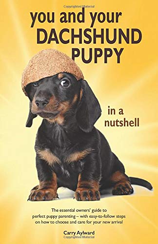 steps for dachshunds