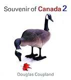 Souvenir of Canada 2 by Douglas Coupland