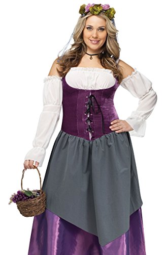 Fun World Tavern Wench Plus Size Costume-