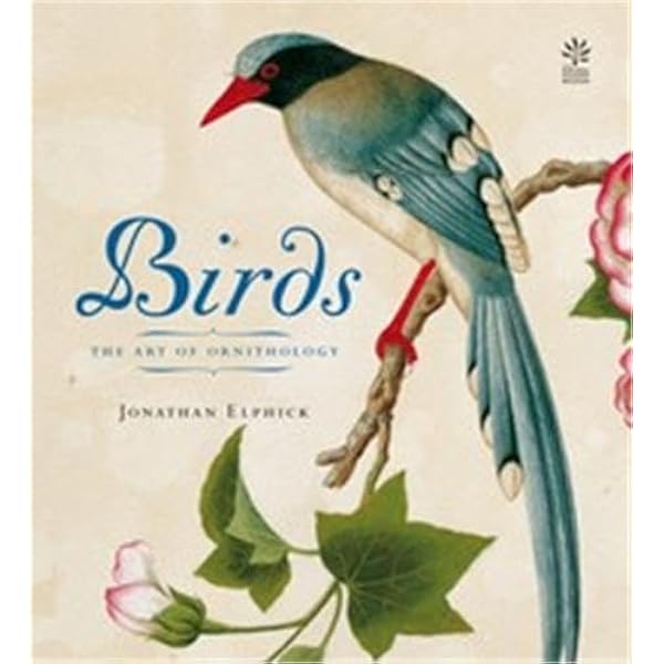 Birds: The Art of Ornithology (Rizzoli Classics): Elphick