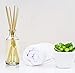 Urban Naturals Vanilla Bean Scented Oil Reed Diffuser Refill | Includes a Free Set of Reed Sticks! Vanilla Cream, Amber & Sweet Tonka Bean, 4 oz.